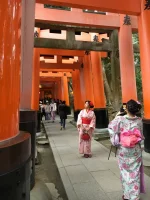 IMG_0243.webp