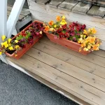 IMG_20250813_092241.webp