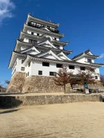 thumbnail_IMG_0099.webp