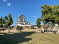 thumbnail_IMG_0100.webp