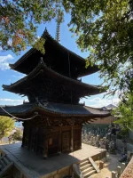 thumbnail_IMG_0079.webp