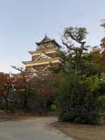 thumbnail_IMG_0106.webp