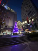 thumbnail_IMG_0110.webp