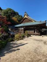 thumbnail_IMG_0194.webp
