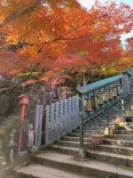 thumbnail_IMG_0197.webp
