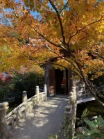 thumbnail_IMG_0205.webp