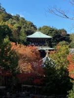 thumbnail_IMG_0215.webp