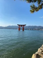 thumbnail_IMG_0227.webp
