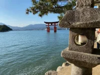 thumbnail_IMG_0231.webp