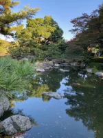 thumbnail_IMG_0247.webp