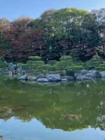 thumbnail_IMG_0250.webp