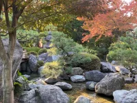 thumbnail_IMG_0251.webp