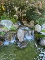 thumbnail_IMG_0252.webp