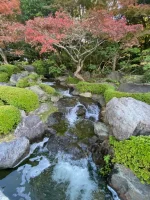 thumbnail_IMG_0253.webp