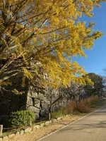 thumbnail_IMG_0259.webp