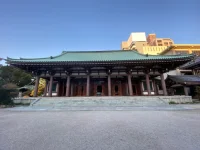 thumbnail_IMG_0265.webp