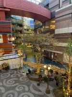 thumbnail_IMG_0271.webp
