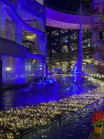 thumbnail_IMG_0323.webp