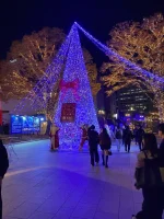 thumbnail_IMG_0331.webp