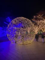 thumbnail_IMG_0335.webp
