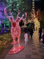 thumbnail_IMG_0339.webp