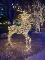 thumbnail_IMG_0340.webp