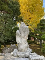 thumbnail_IMG_0361.webp