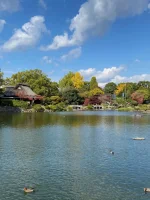 thumbnail_IMG_0373.webp