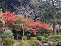 thumbnail_IMG_0418.webp
