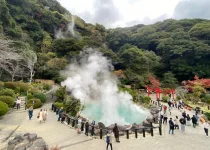 thumbnail_IMG_0420.webp
