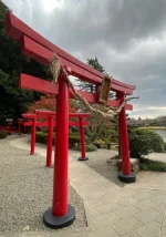 thumbnail_IMG_0424.webp