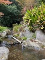 thumbnail_IMG_0426.webp