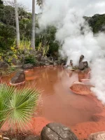 thumbnail_IMG_0430.webp