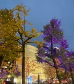 thumbnail_IMG_0577.webp