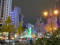 thumbnail_IMG_0585.webp