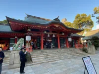 thumbnail_IMG_0486.webp