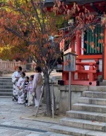 thumbnail_IMG_0487.webp
