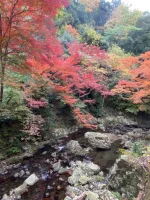 thumbnail_IMG_0505.webp