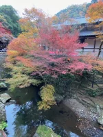 thumbnail_IMG_0507.webp
