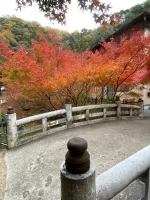 thumbnail_IMG_0508.webp