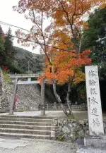 thumbnail_IMG_0528.webp