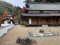 thumbnail_IMG_0535.webp