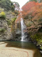 thumbnail_IMG_0542.webp