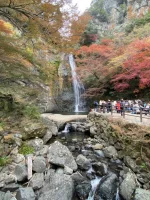 thumbnail_IMG_0543.webp