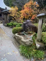 thumbnail_IMG_0687.webp