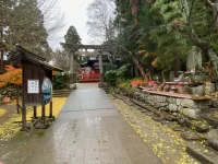 thumbnail_IMG_0692.webp