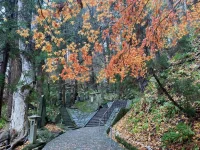 thumbnail_IMG_0699.webp