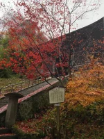 thumbnail_IMG_0703.webp