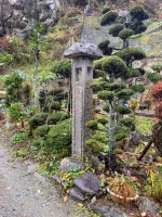 thumbnail_IMG_0723.webp