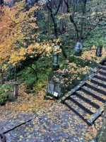 thumbnail_IMG_0726.webp
